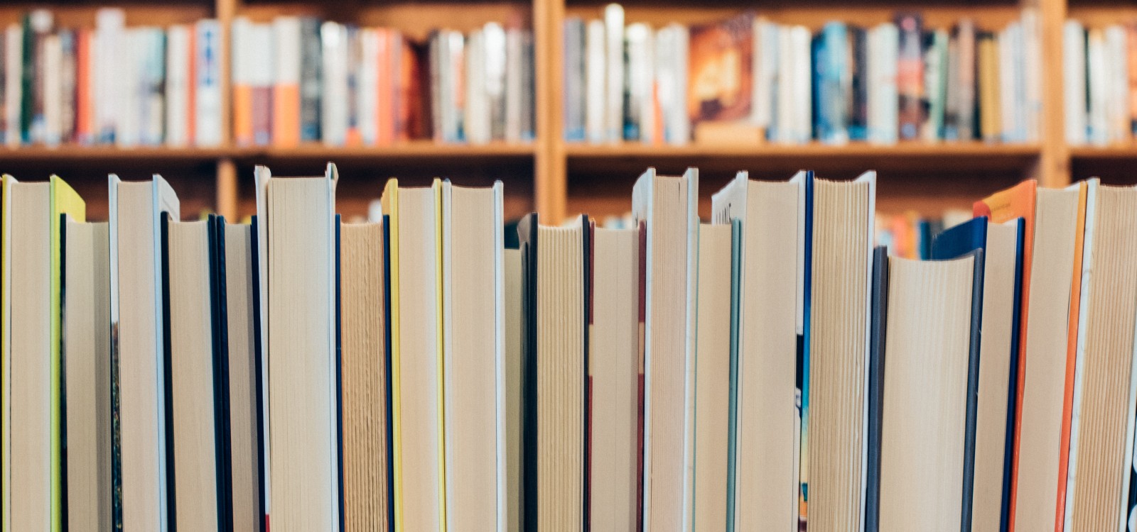 The Best 2020 Book Releases You Should Read Now